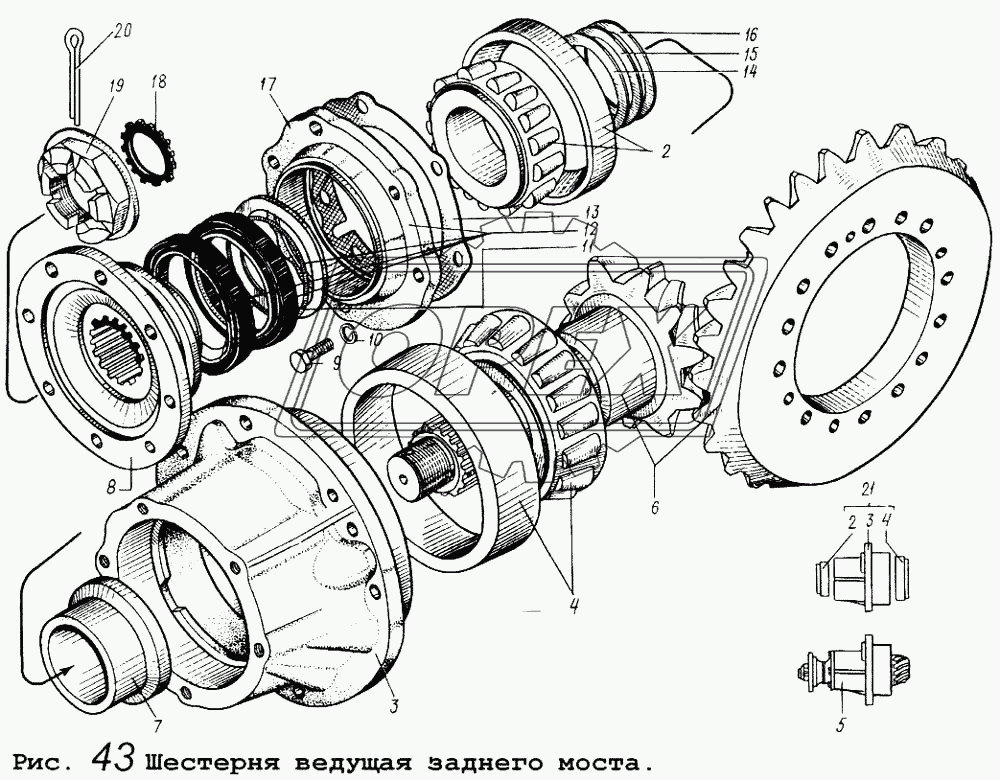 Шестерня ведущая заднего моста