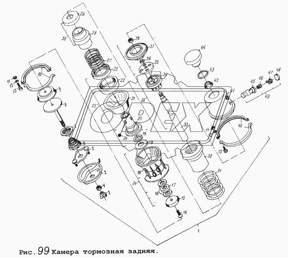 Камера тормозная задняя