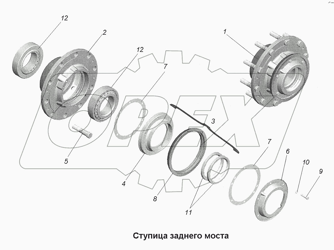 Ступица заднего моста