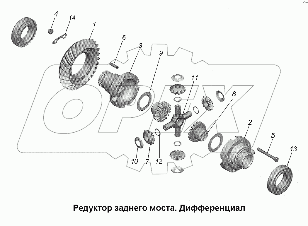 Редуктор заднего моста. Дифференциал