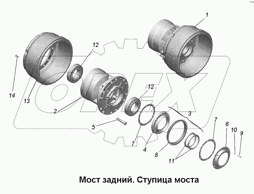 Мост задний. Ступица моста