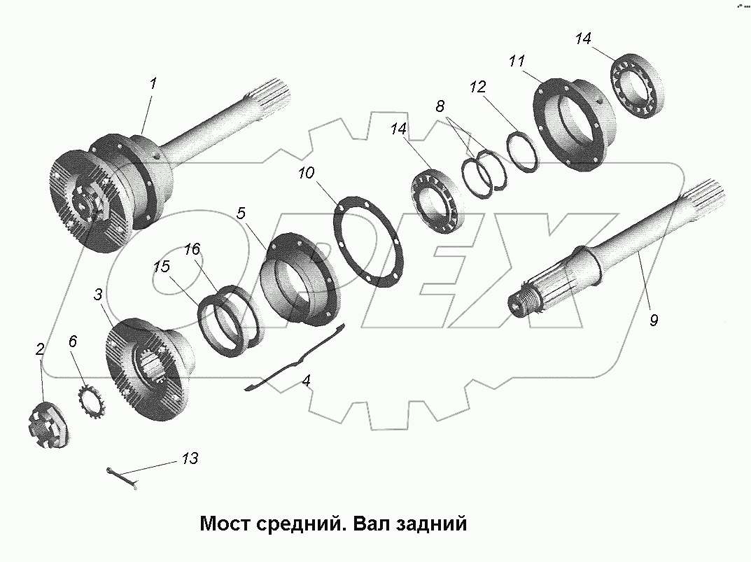 Мост средний. Вал задний.