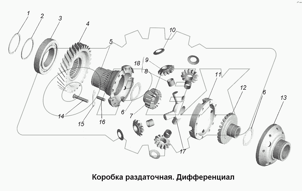 Коробка раздаточная. Дифференциал.