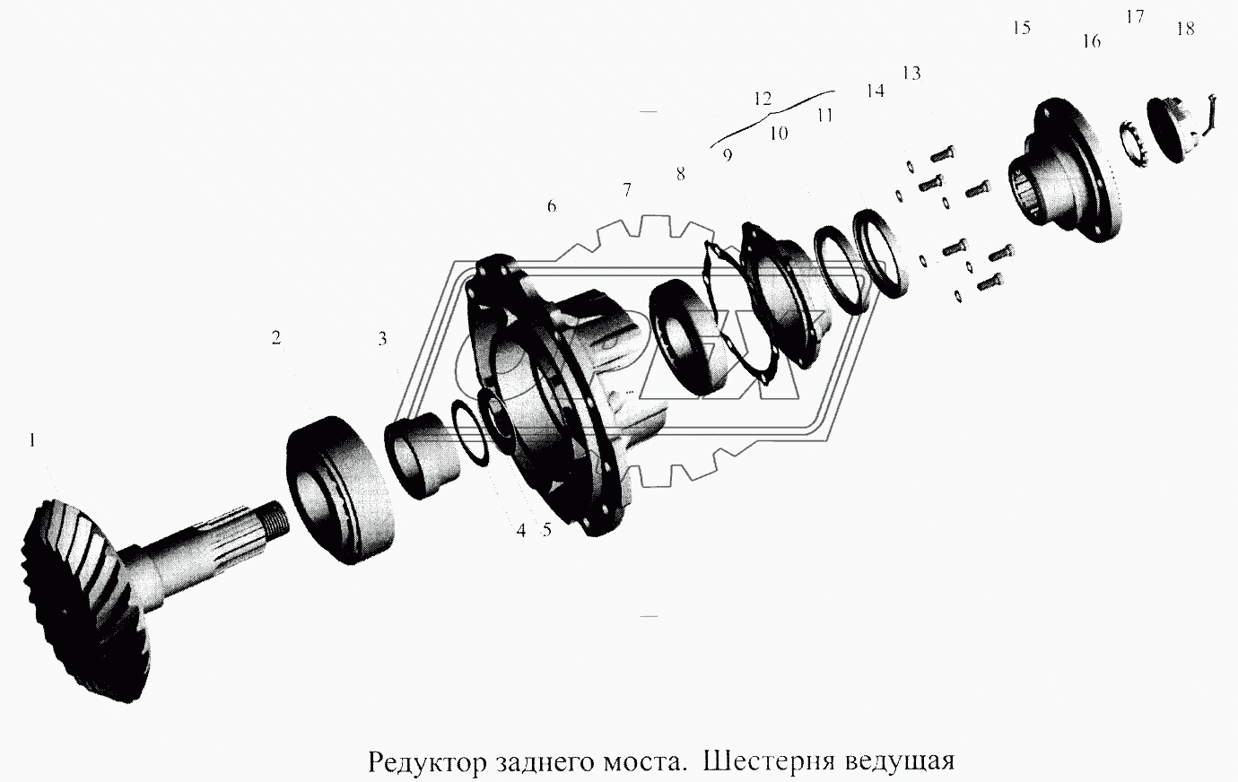 Редуктор заднего моста. Шестерня ведущая