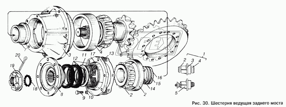 Шестерня ведущая заднего моста