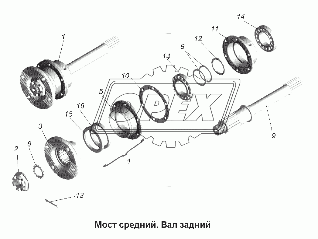 Мост средний\Мост средний. Вал задний