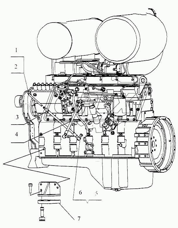 Двигательная система 3