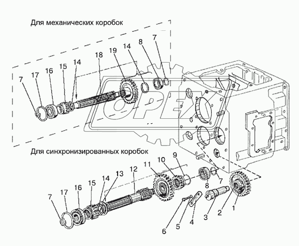 Вал 1-ой передачи и передачи заднего хода