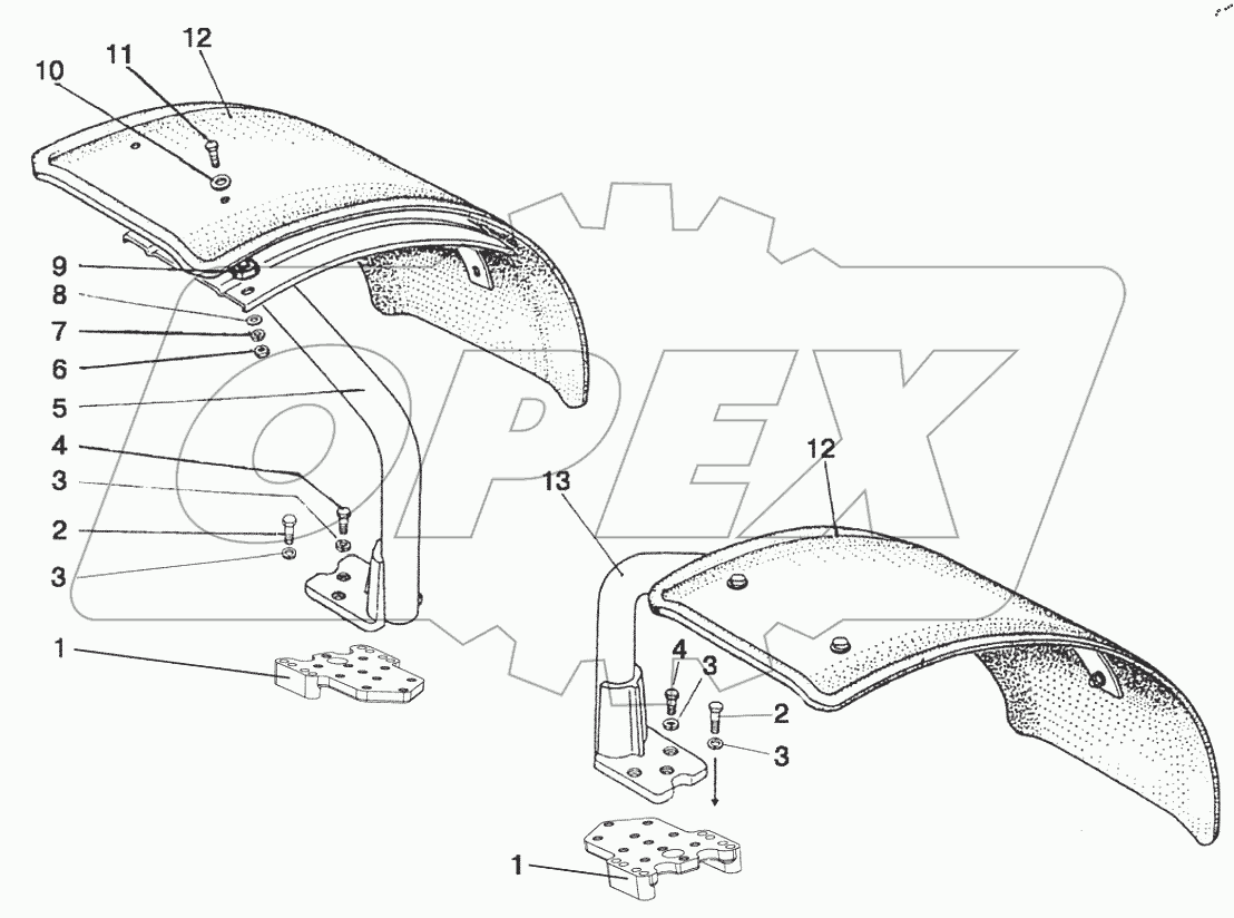  Крылья передние
