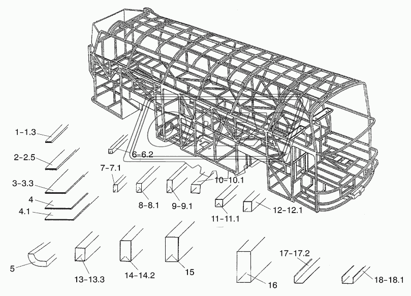 SKELETON