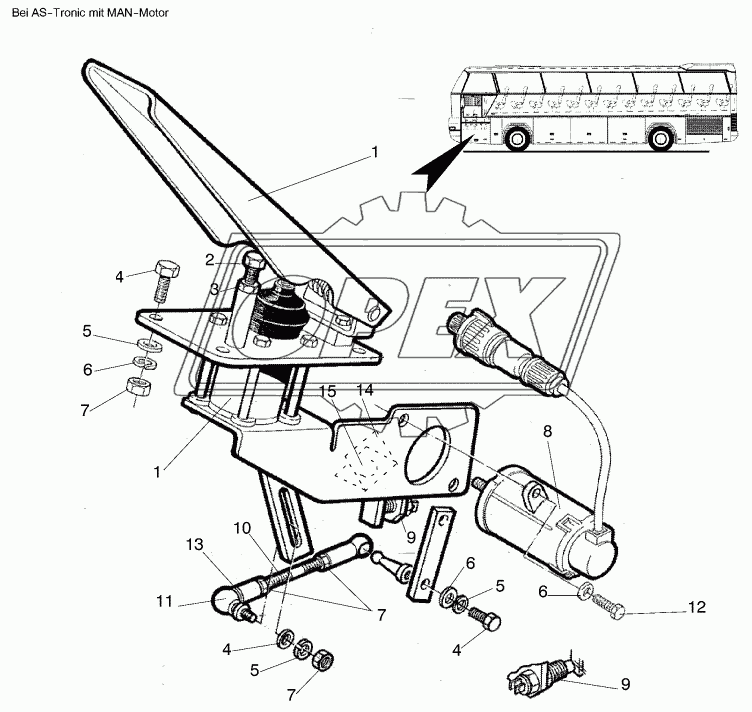 ACCELERATOR PEDAL AND PARTS Motor-MAN 2
