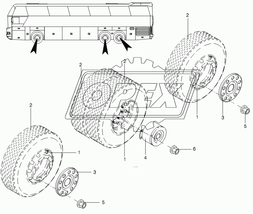 WHEEL CAPS 6