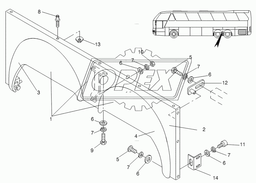 WHEEL HOUSE REAR