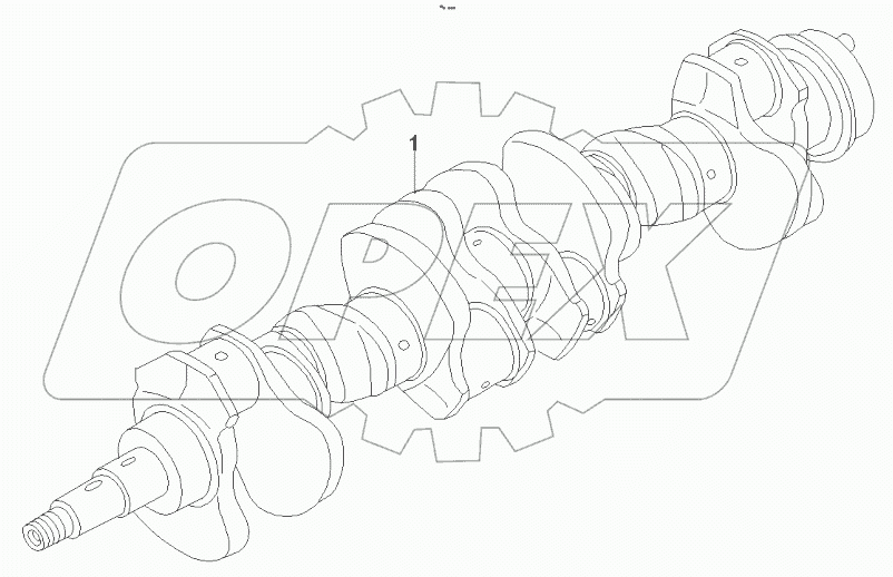  60028490 Crankshaft AS