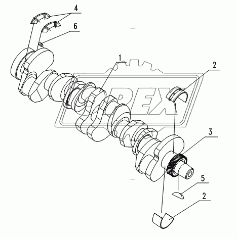 CRANKSHAFT GP