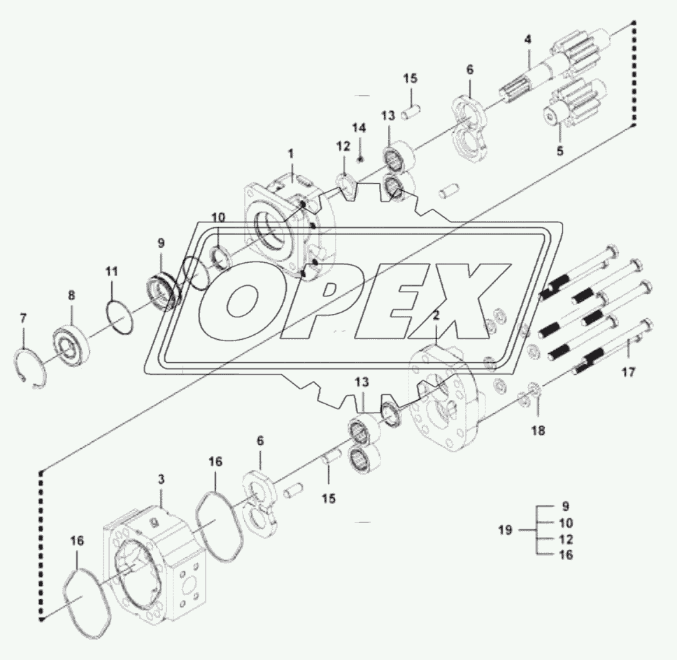 Gear pump (43803)