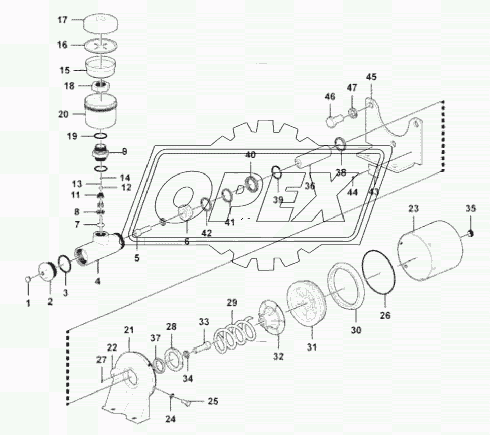 Pneumatic cylinder (46455)