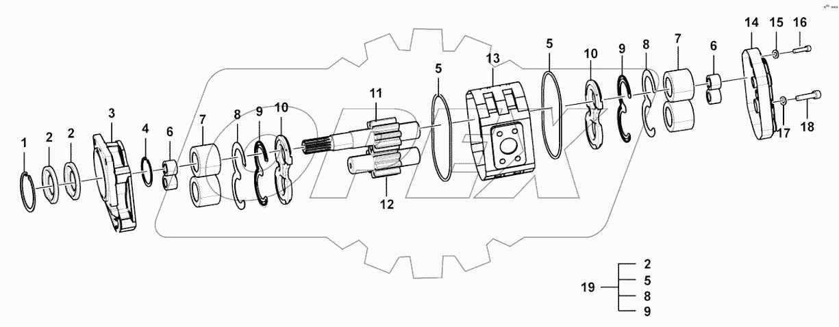  Gear pump (43272)