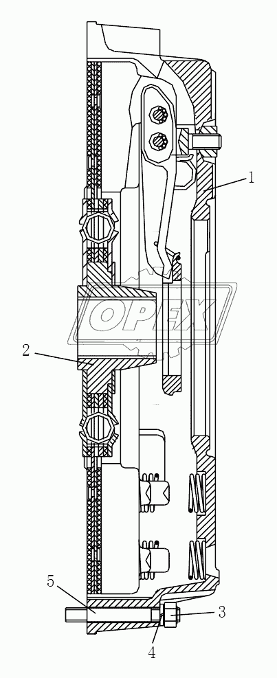 CLUTCH ASSEMBLY