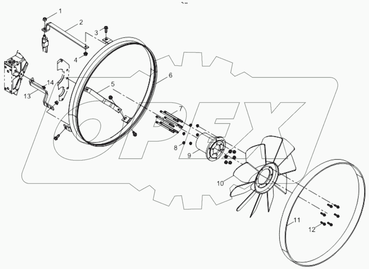  FAN AND HUB GROUP (02)