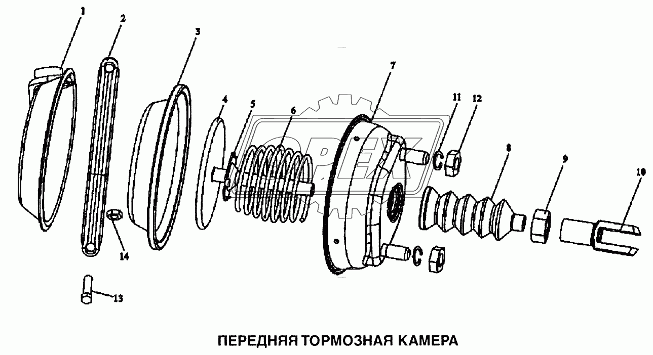 Камера тормозная передняя