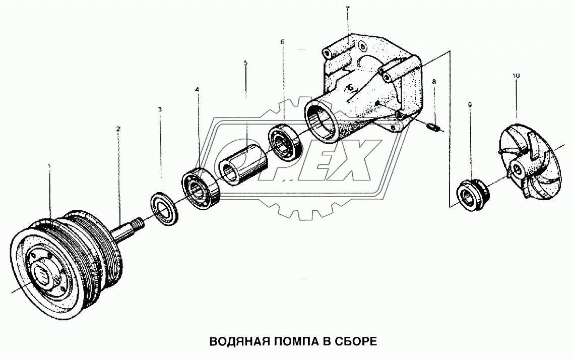 Помпа водяная в сборе