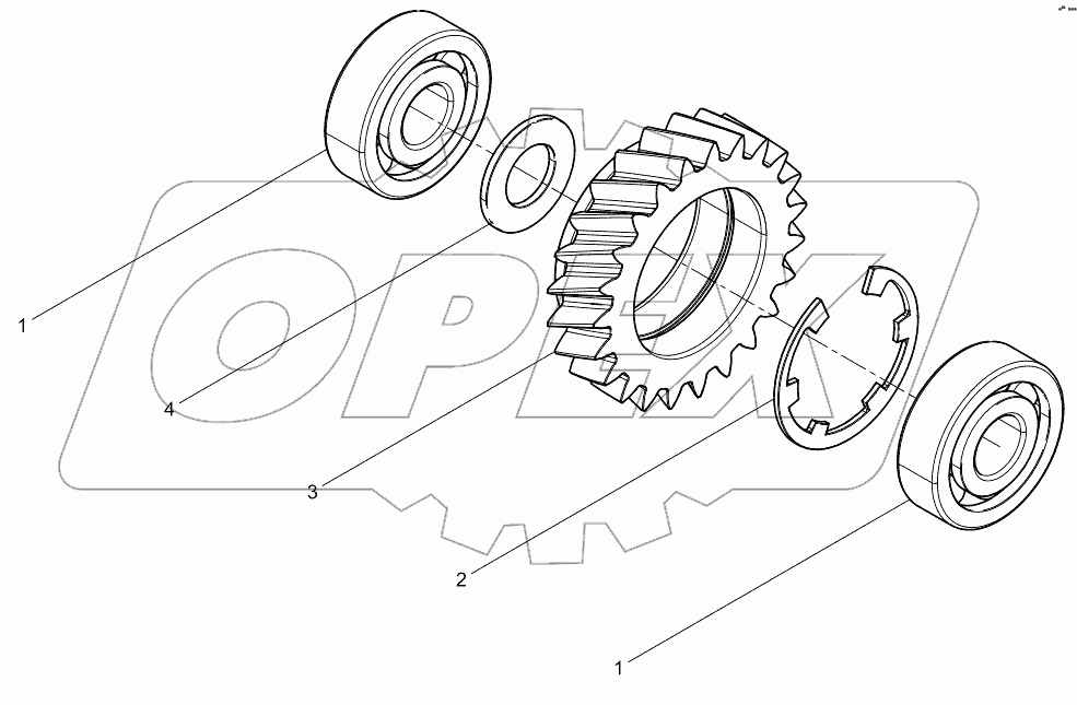 OIL PUMP IDLE GEAR SET