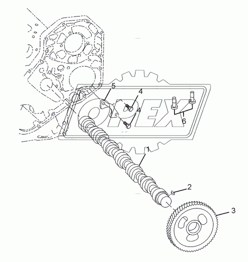 CAMSHAFT AND TAPPETS