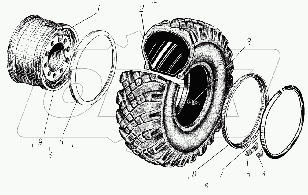  Колесо и шина;Wheel