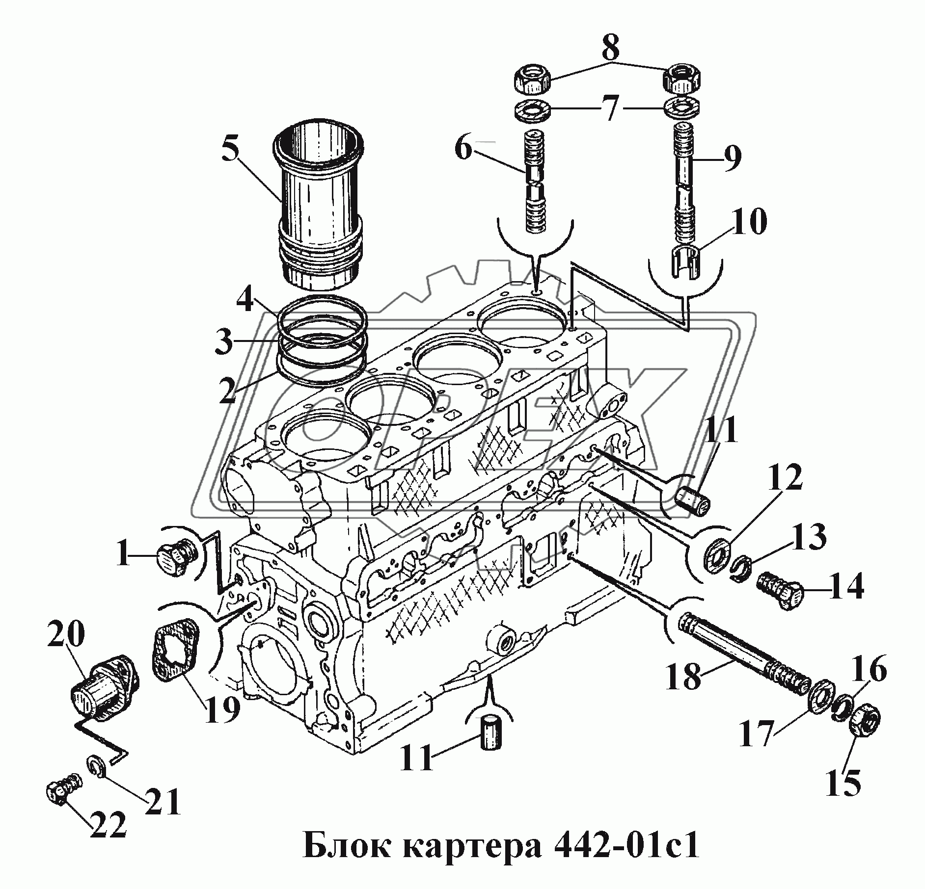Блок картер 442-01с1 (1)