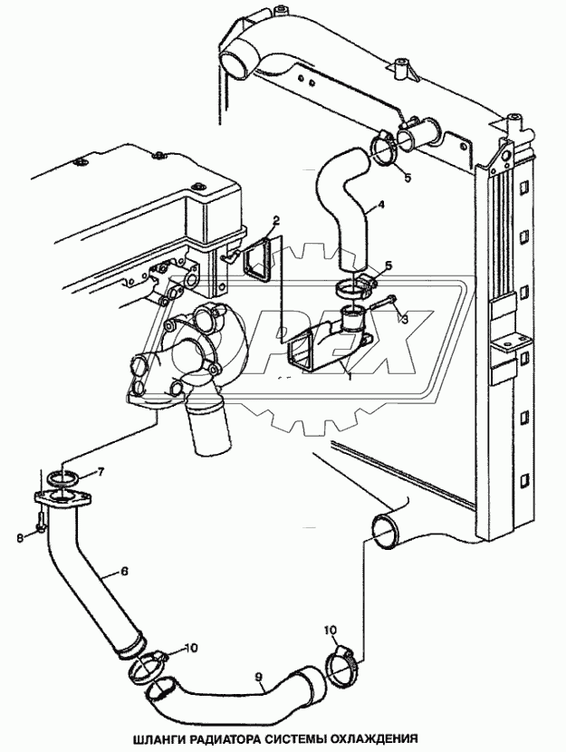 Шланги радиатора системы охлаждения