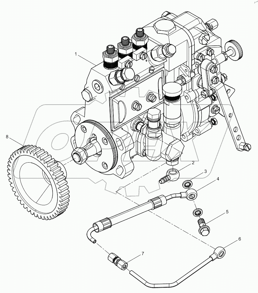  Lnjection pump assembly (-01)