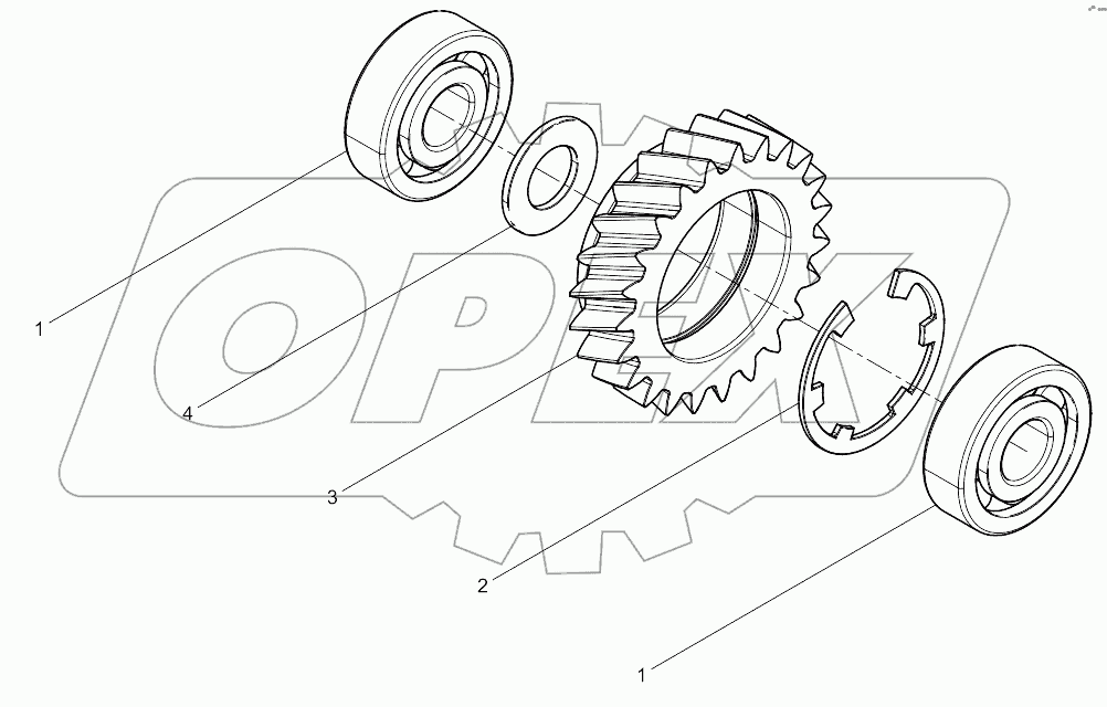  Oil Pump Idle Gear Set