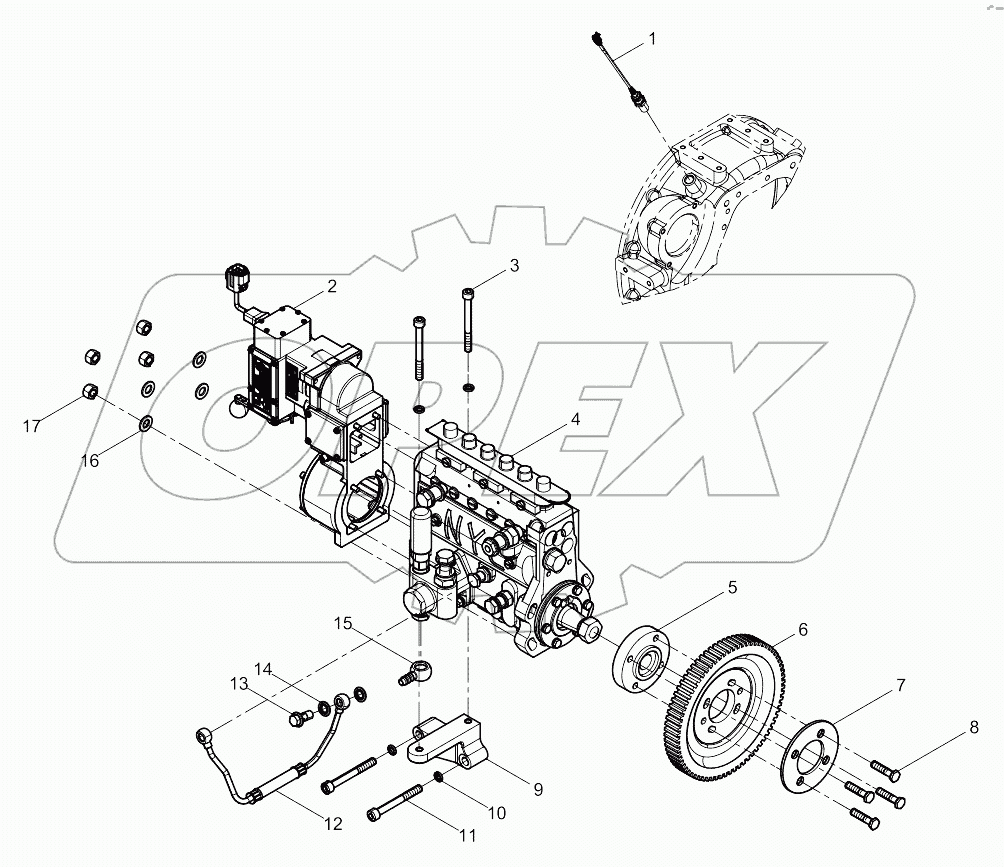 Fuel Injection Pump Assembly