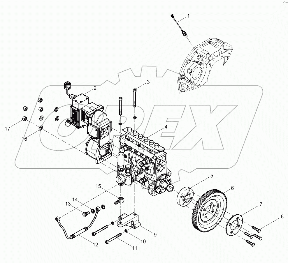 Fuel Injection Pump Assembly