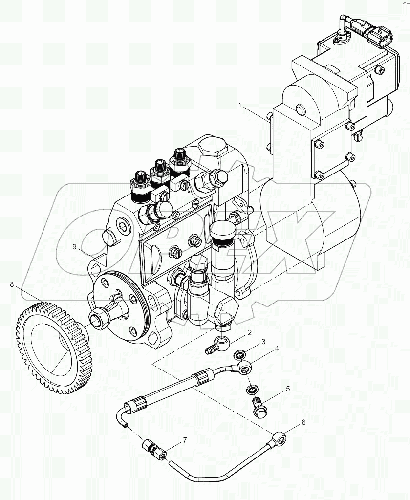 Fuel Injection Pump Assembly