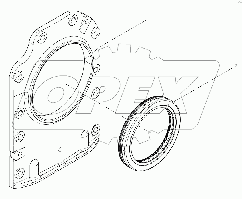 Rear Oil Seal Cover Set