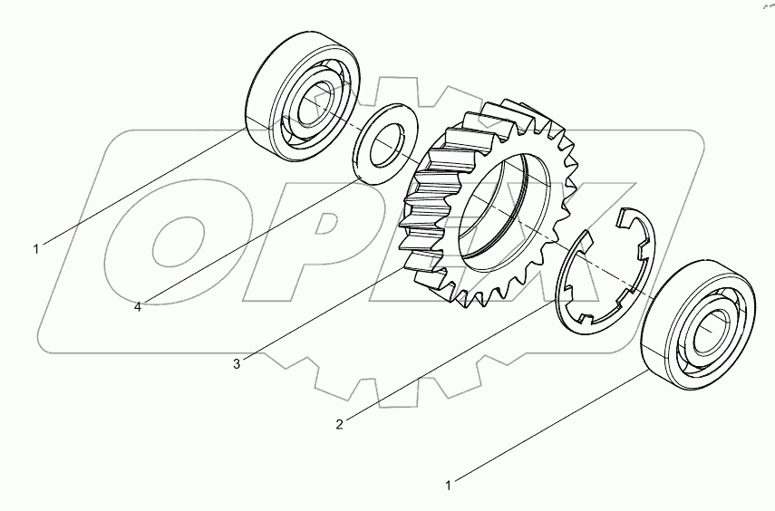  Oil Pump Idle Gear Assembly