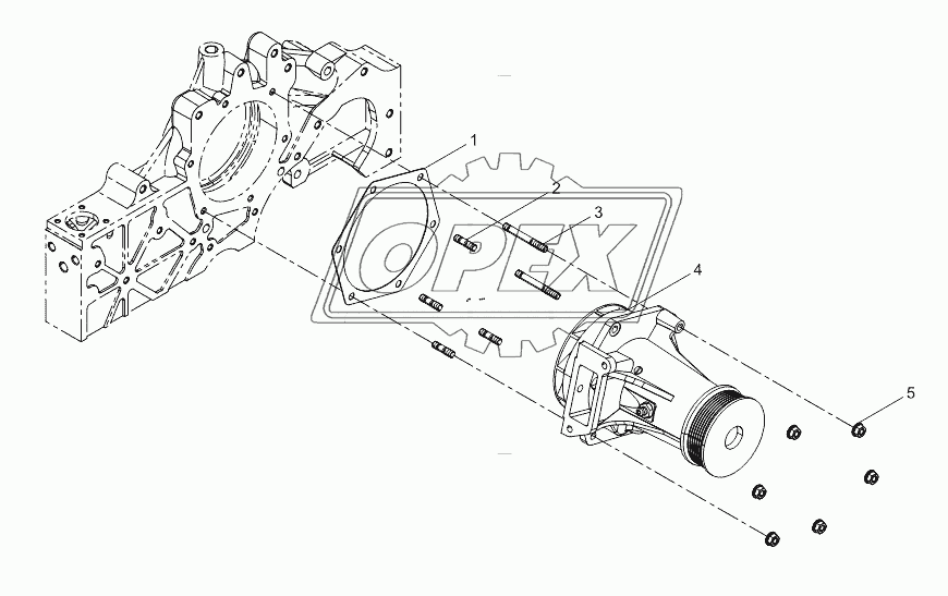 Water pump assembly