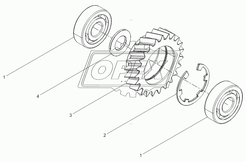 Oil Pump Idle Gear Assembly