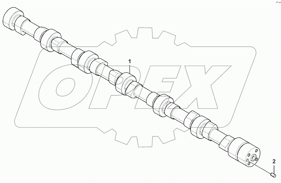  Camshaft assembly