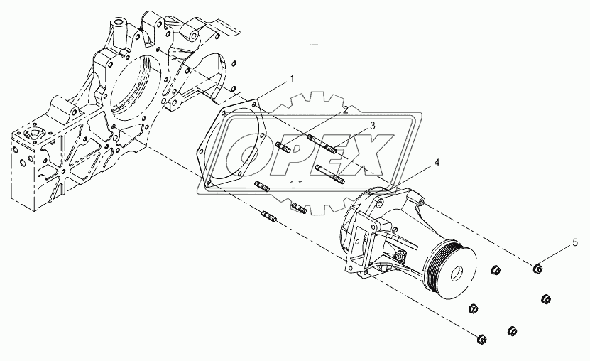 Water pump assembly