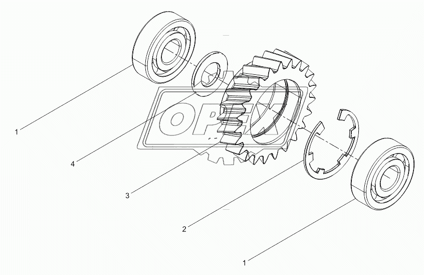 Oil Pump Idle Gear Assembly