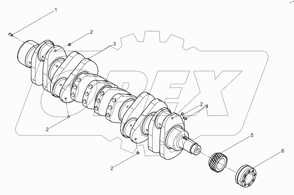  Crankshaft assembly