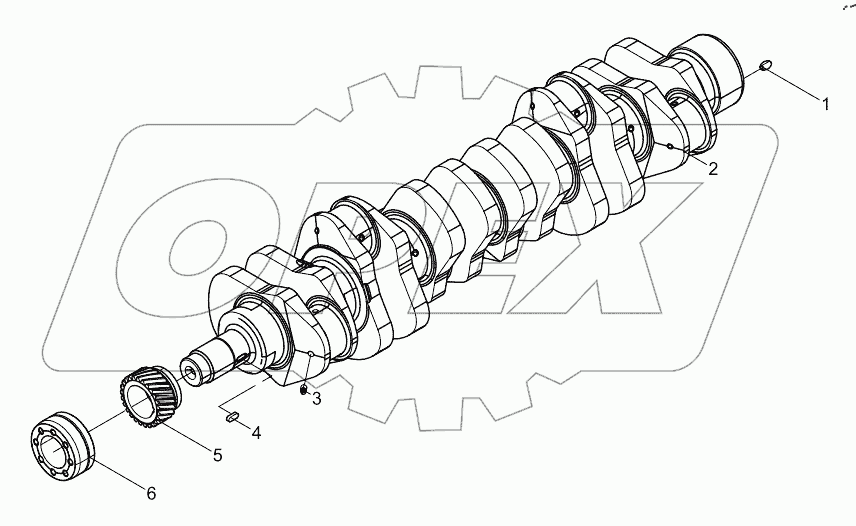  Crankshaft assembly