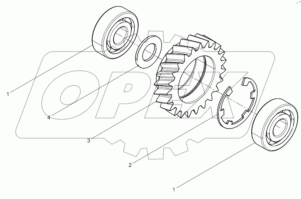  Oil Pump Idle Gear  Set