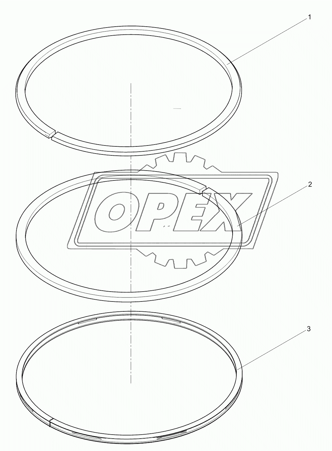 Piston ring assembly