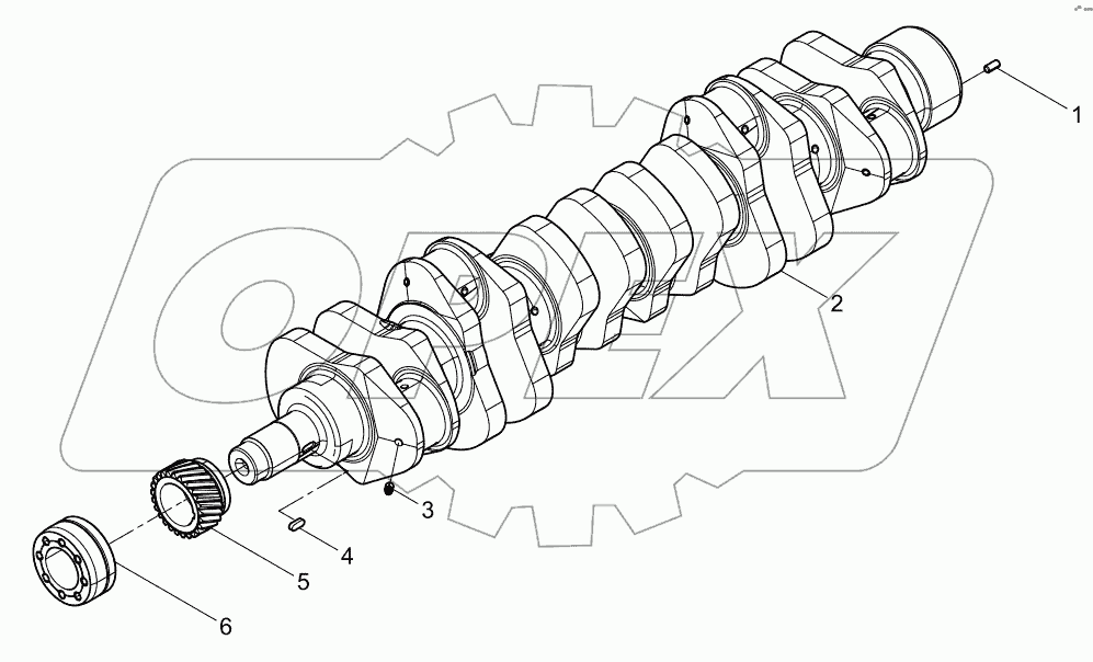  Crankshaft assembly