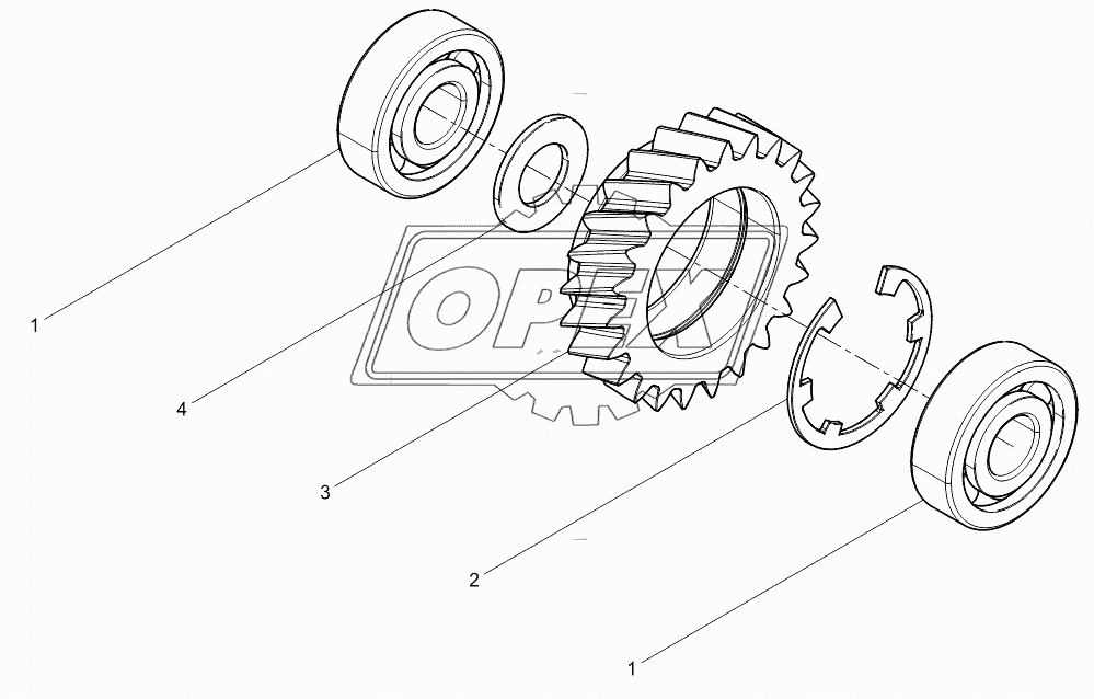 Oil Pump Idle Gear Assembly