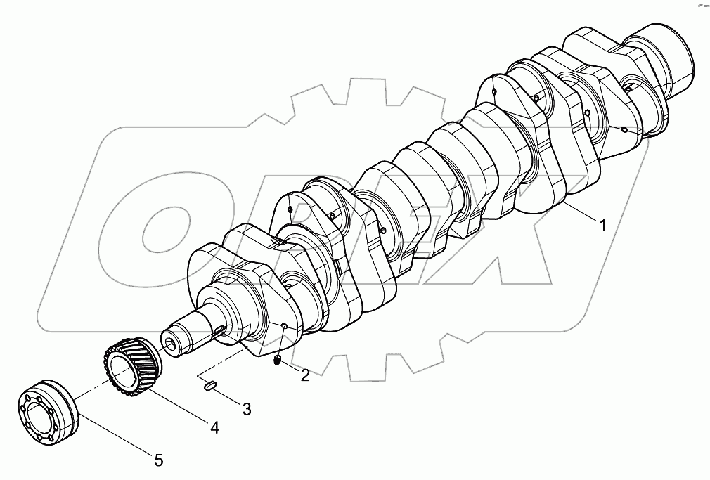  Crankshaft Assembly